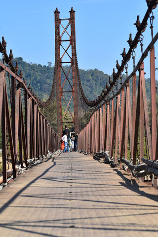 Suspended Serenity: The Hanging Bridge Adventure 🌉✨