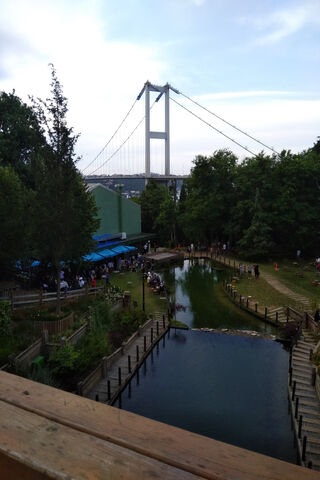 Istanbul's Majestic Bosphorus Bridge 🌉✨