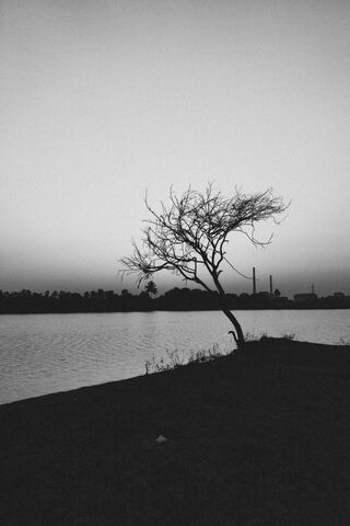Silent Reflections