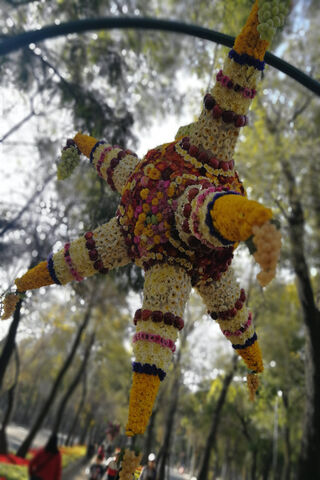 Vibrant Festivities: The Spirit of Mexico De Colores 🎉🌼