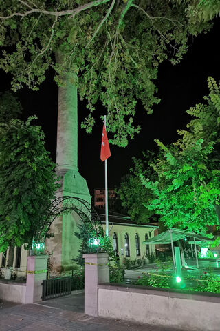 Nighttime Serenity at Manzara 🌙✨
