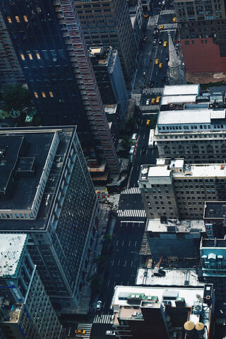 A Bird's Eye View of the Big Apple 🗽✨