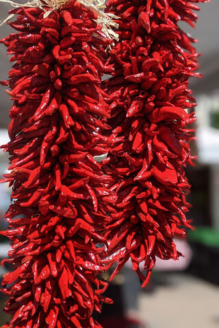 Spicy Strings of Flavor 🌶️✨