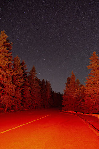Journey Through the Crimson Night 🌌🚦