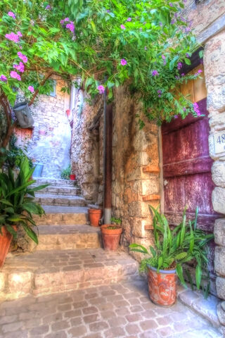 Charming Passage to Serenity 🌿🚪