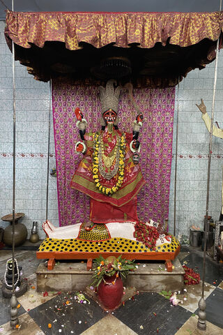 Divine Grace of Thanthania Kali Maa 🌺✨