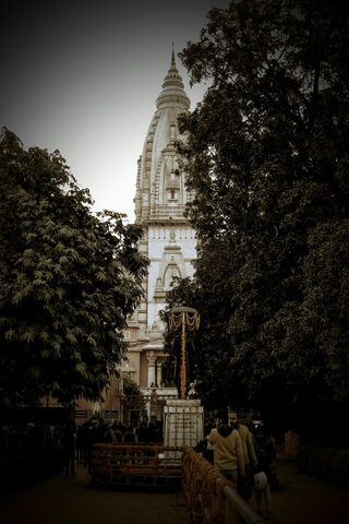 Majestic Serenity: The Vishwanath Temple
