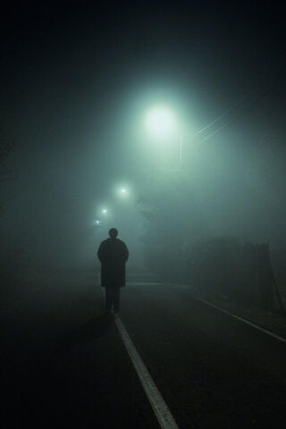 Into the Mist: A Solitary Journey