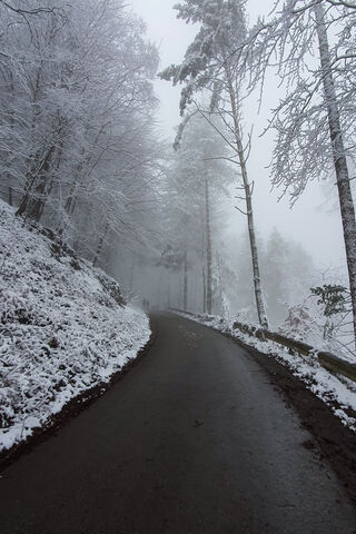 Winter Road