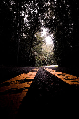 Journey Through the Golden Path 🌟