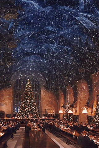 Enchanted Yuletide at Hogwarts 🎄✨