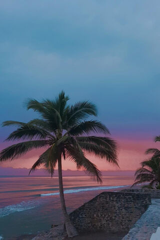 Sunset Serenity at Playa 🌅🌴