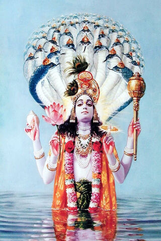 Divine Grace of Shri Krishna 🌺✨