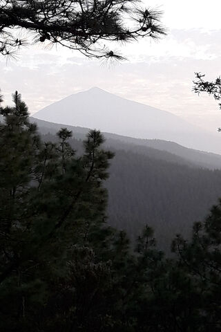Teide