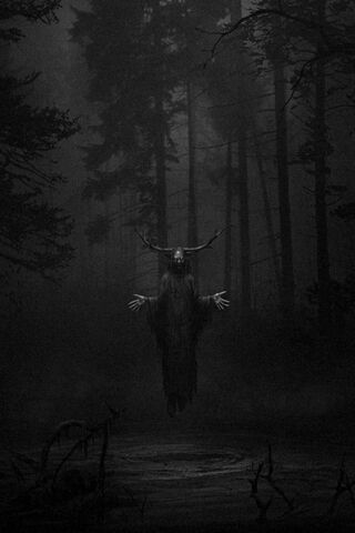 Whispers of the Dark Fo..