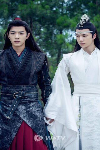 Bound by Destiny: The Untamed Journey