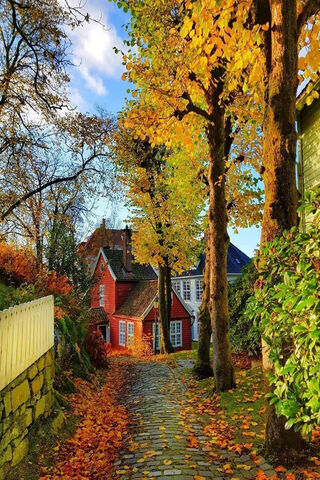 Autumn Splendor in Bergen 🍂🏡