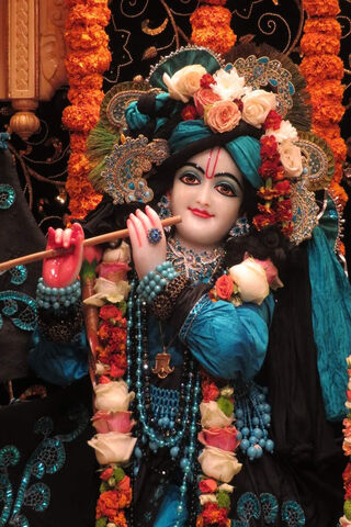 Divine Melody: The Enchanting Krishna