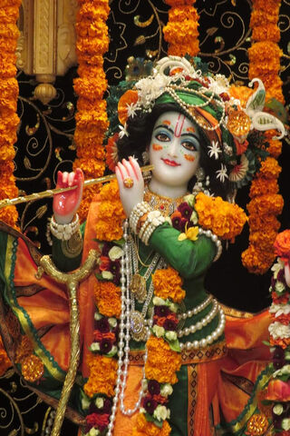 Divine Melody: The Enchanting Krishna