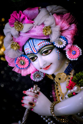 Divine Charm of Krishna 🌸✨