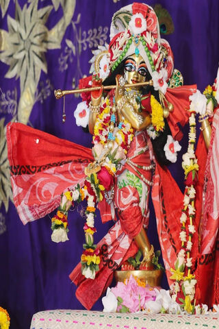Divine Melodies: The Enchanting Lord Krishna 🎶✨