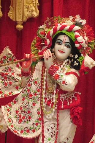 Lord Krishna