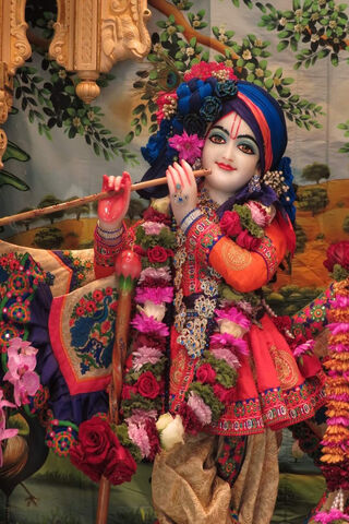 Divine Melodies: The Enchanting Lord Krishna 🎶✨