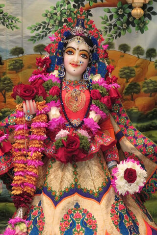 Divine Grace of Sree Radha Rani 🌸✨