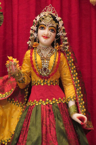 Divine Grace of Sree Radha Rani 🌸✨