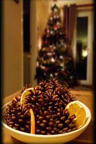 Cozy Holiday Vibes 🎄✨