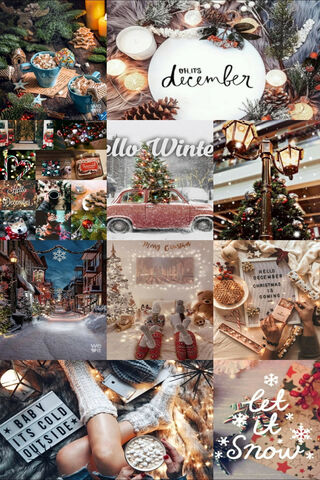 Festive Wonderland: A C..