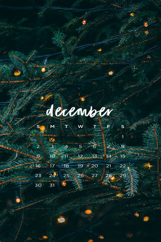 December Delights: A Festive Countdown 🎄✨