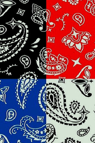 Paisley Palette: A Colorful Fusion