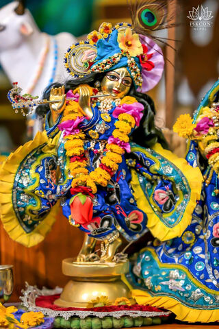 Divine Dance of Lord Krishna 🌼✨