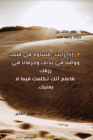 Wisdom in the Desert: A Reflection on the Heart