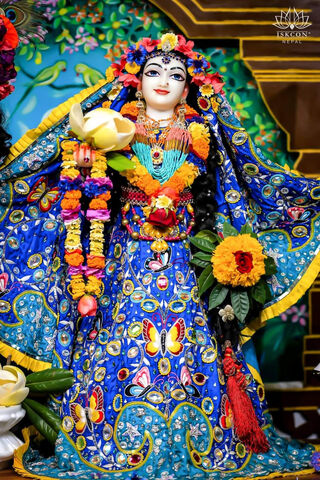 Divine Grace of Sree Radha Rani 🌸✨