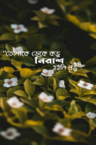 Bangla Typography