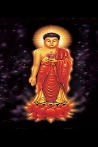 Radiant Serenity: The Essence of Buda 1 🌟