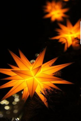 Twinkling Holiday Magic ✨