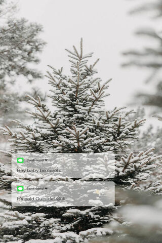 Cozy Christmas Texts ❄️📱