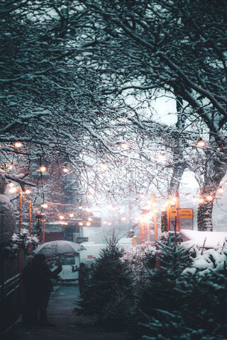 Winter Wonderland: A Christmas Dream ❄️🎄