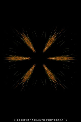 Radiant Diwali Fireworks: A Celebration of Light 🎆✨