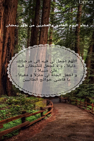 Embracing Reflection: Day 21 of Ramadan 🌙