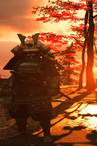 Warrior of the Rising Sun 🌅