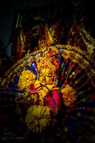 Divine Splendor of Hare Krishna ✨