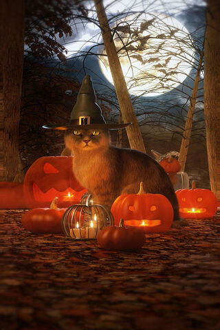 Spooky Whiskers and Pumpkin Delights 🎃🐾