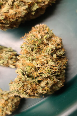 Hindu Kush: A Journey to the Mountains of Tranquility 🌄✨