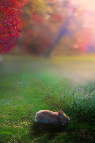 Whimsical Feast: The Hungry Rabbit's Adventure 🐇🌿