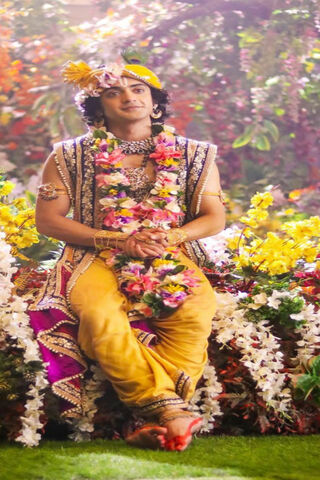 Divine Charm: The Essence of Krishna 🌼✨