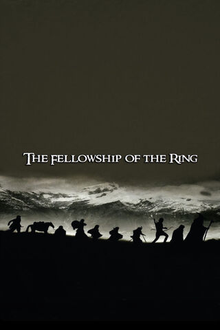 LOTR Fellowship